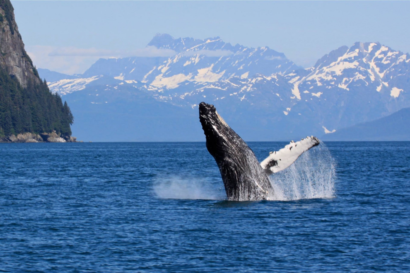 Grand Alaska Voyage: Discovery Voyages