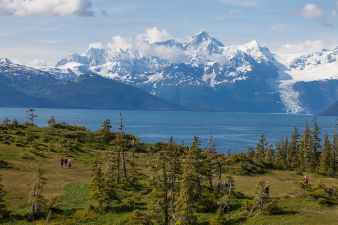 Hiking Prince William Sound With Discovery Voyages